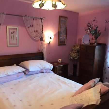 Cosy Cottage For Ecotourism Lovers Near Corwen Exterior photo