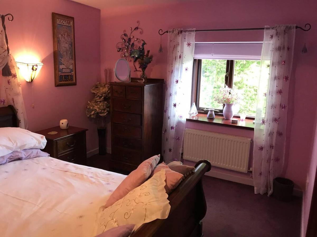 Cosy Cottage For Ecotourism Lovers Near Corwen Exterior photo