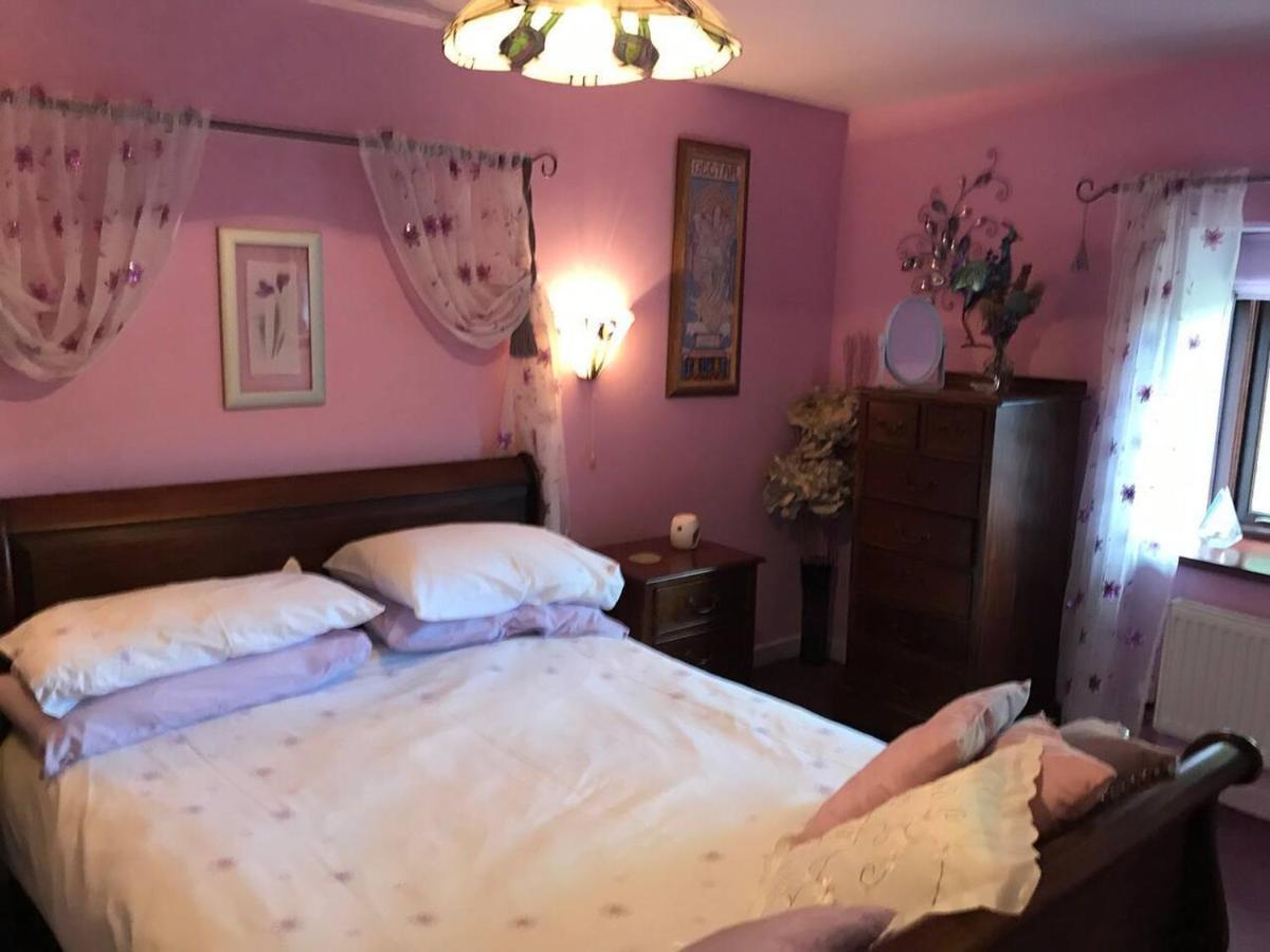 Cosy Cottage For Ecotourism Lovers Near Corwen Exterior photo